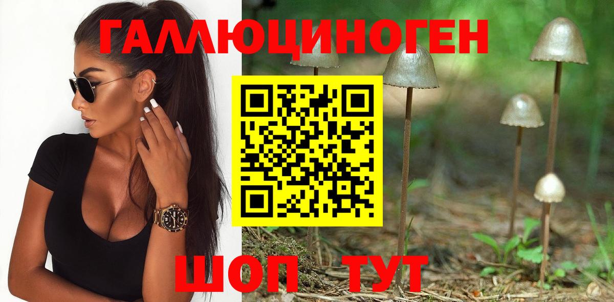 Псилоцибиновые грибы мухоморы  Псилоцибиновые грибы ЛСД  продажа наркотиков  Майский  Вход с VPN 