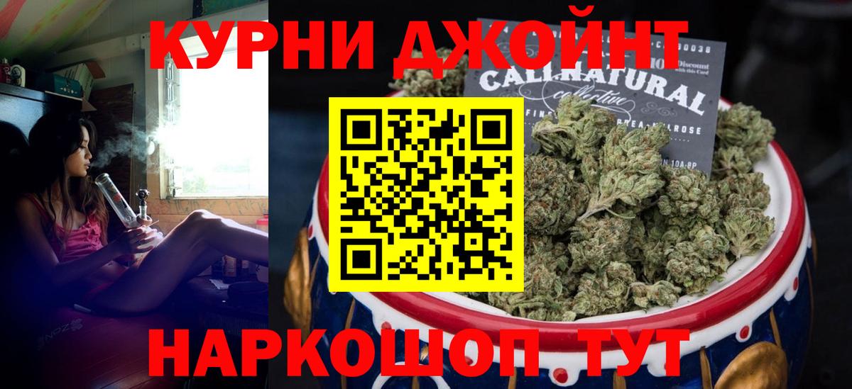 Конопля планчик Майский